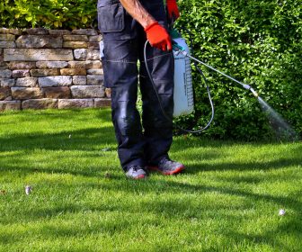 lawn-mosquito-spray_286921402-web