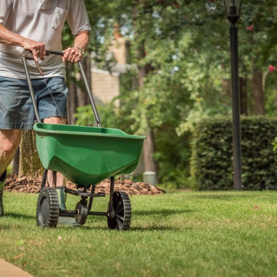 lawn-seeder_288551585-web
