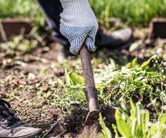 property-maintenance-spring-clean-up-fall-clean-up-f